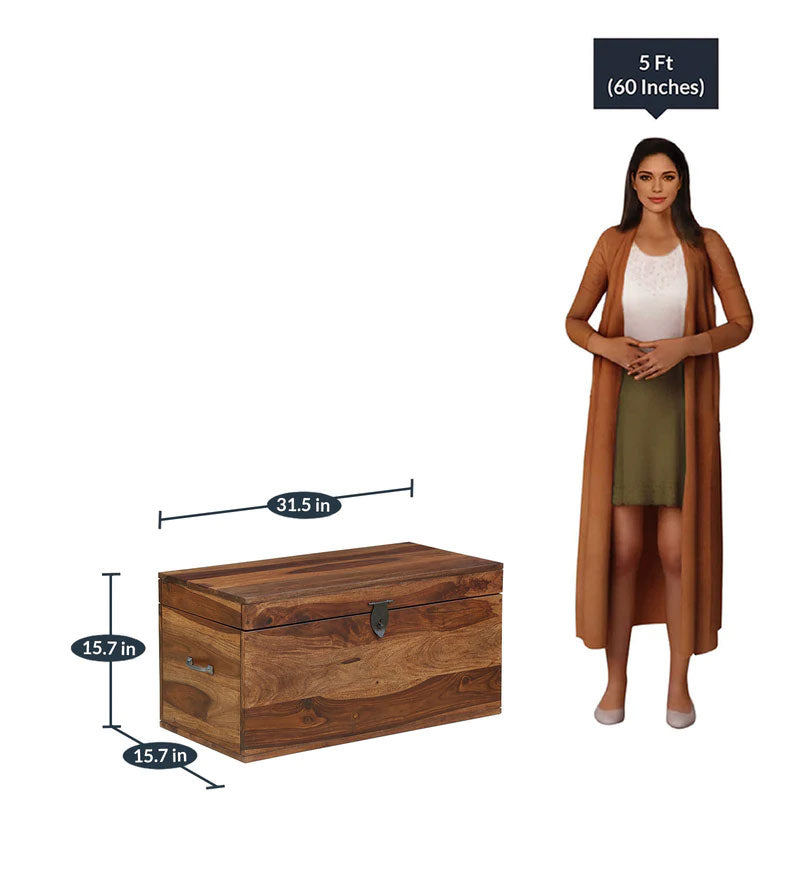 Boho Wood Trunk in Rustic Teak Finish